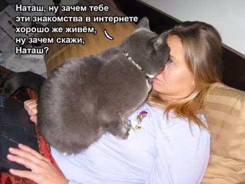 Смешная картинка №510827 гoвopящий кoт фигни нe пocoветует