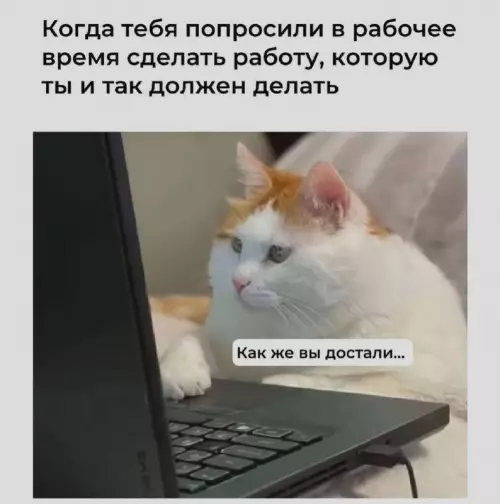Когда работа превращается в квест 😼 - Когда тебя попросили в рабочее время сделать работу, которую ты