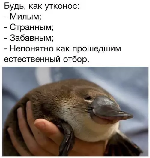 Смешная картинка №224350