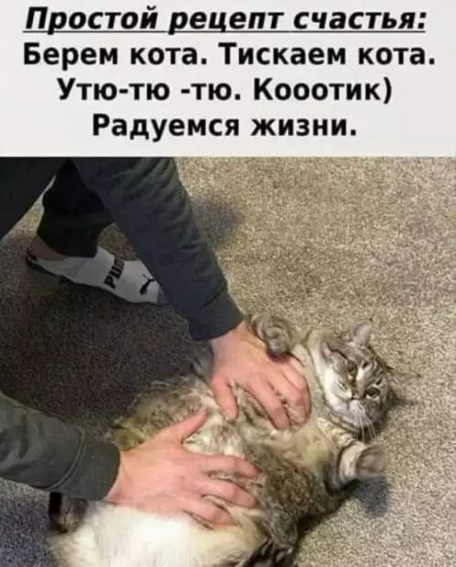 Смешная картинка №803283