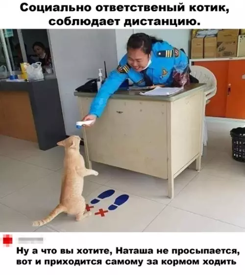 Смешная картинка №500952 Самая милая фотография за сегодня)