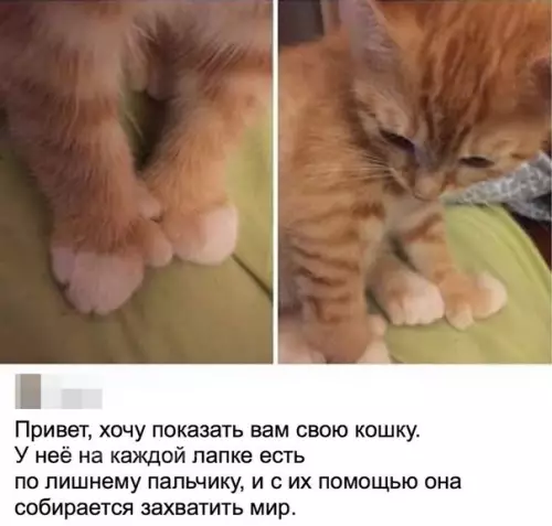 Смешная картинка №244538