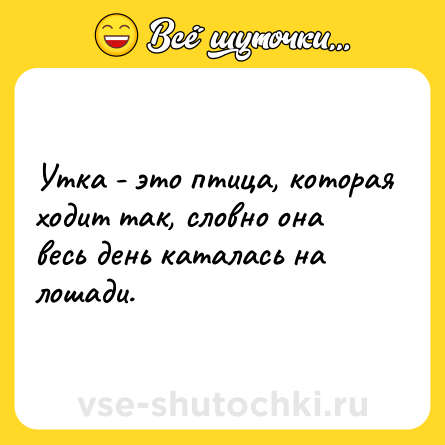 Шутка: Утка - это птица, которая ходит так, словно она весь день каталась на лошади.