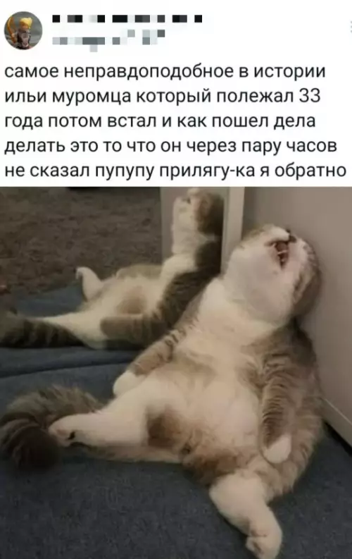 Смешная картинка №791325