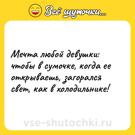 Шутка: Мечта любой девушки: чтобы в сумочке, когда ее открываешь, загорался свет, как в холодильнике!
