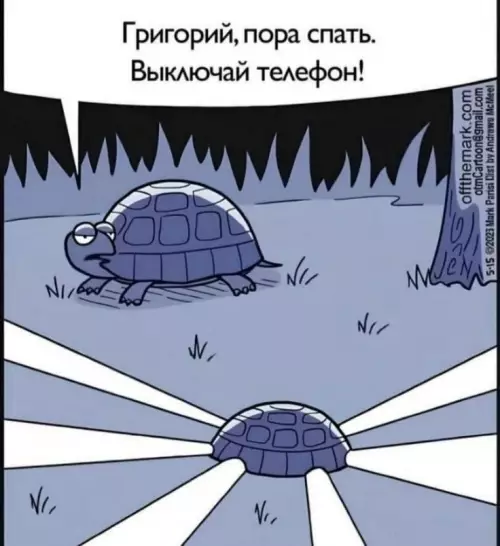 Смешная картинка №799325