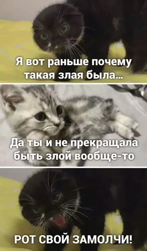 Смешная картинка №653243
