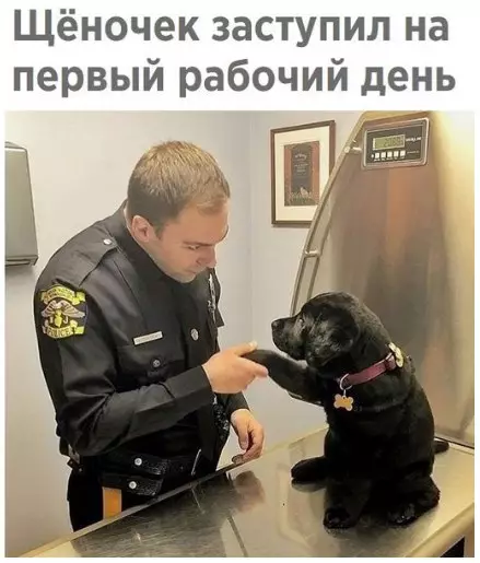 Смешная картинка №275594