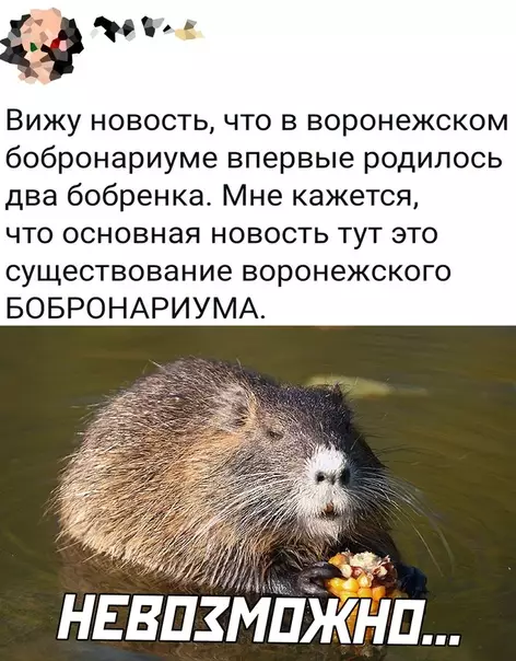 Смешная картинка №533503