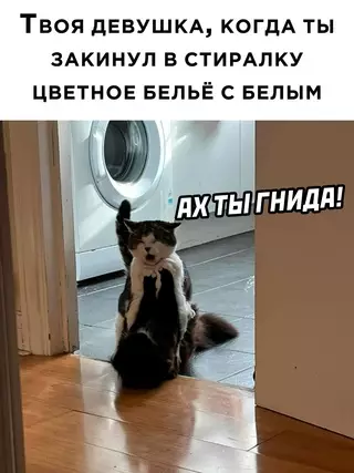 Смешная картинка №669310