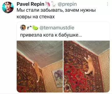 Смешная картинка №821633 Коты