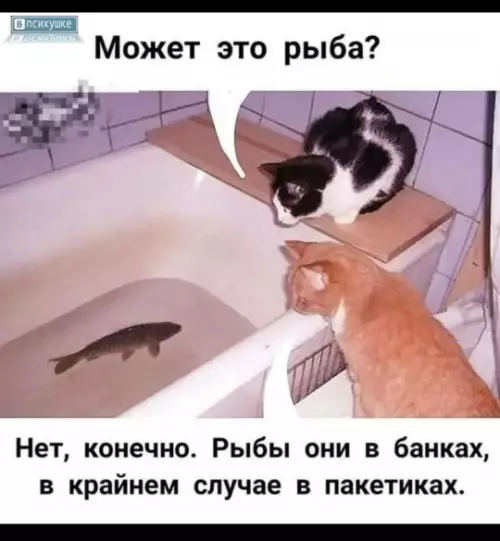 Смешная картинка №805687