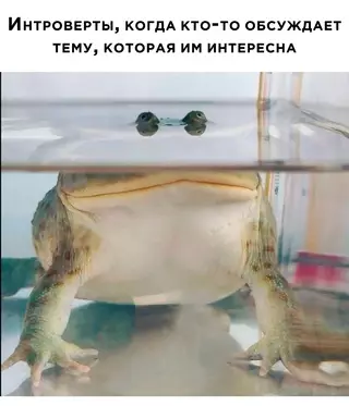 Смешная картинка №673066