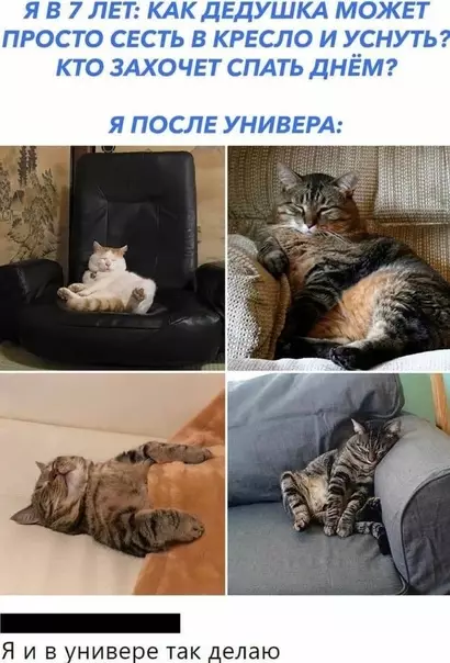 Смешная картинка №570112