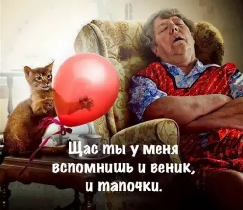 Смешная картинка №650012 Месть кота была жестокой
