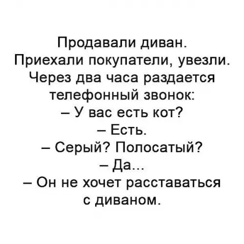 Смешная картинка №216189 коты