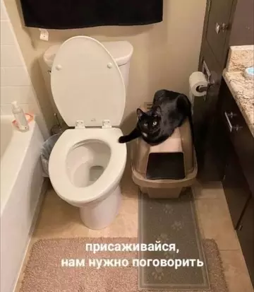 Смешная картинка №768791