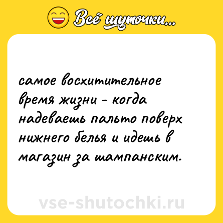 Шутка: самое восхитительное время жизни - когда надеваешь пальто поверх нижнего белья и идешь в магазин за шампанским.