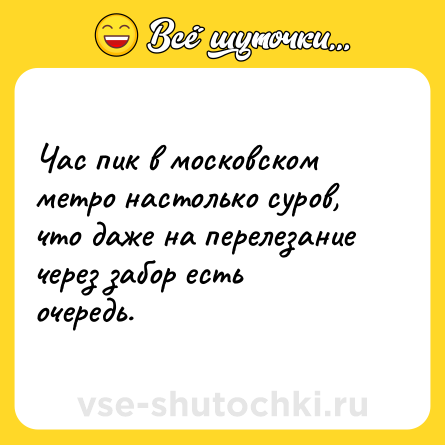 Шутка: Час пик в московском метро настолько суров, что даже на перелезание через забор есть очередь.