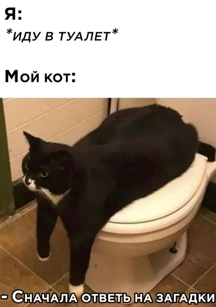 Смешная картинка №533273