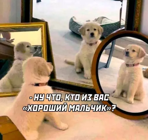 Смешная картинка №709669