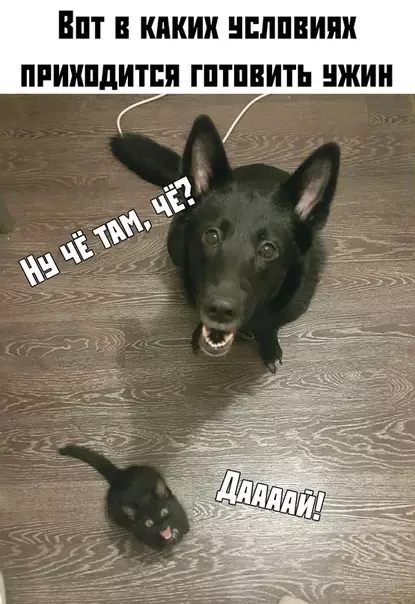 Смешная картинка №402313