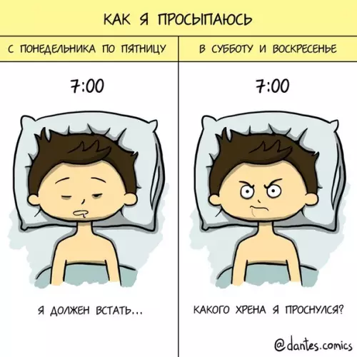 Смешная картинка №349115 Закон подлости в действии