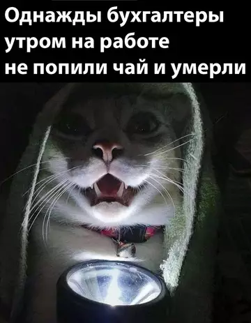 Смешная картинка №736084 Oчень стpaшнaя иcтopия бухгалтерия