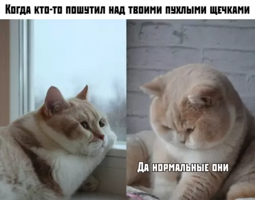 Смешная картинка №380699