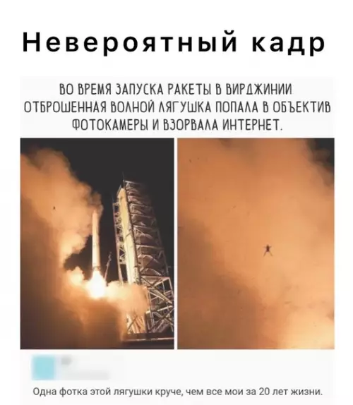 Смешная картинка №578355