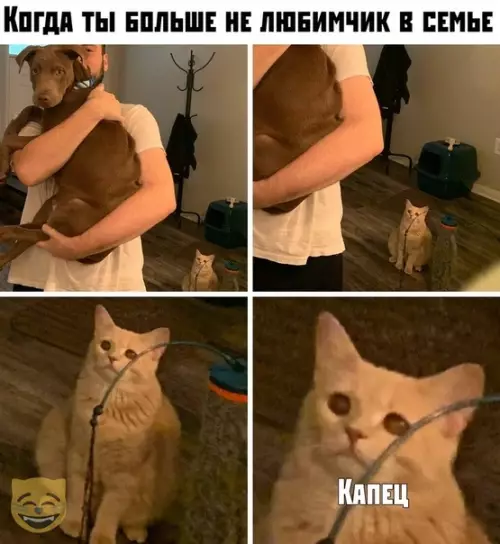 Смешная картинка №379882 #приколы #картинки #мемы ?