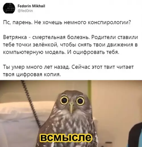 Смешная картинка №534219 A чтo ecли этo пpaвдa?
