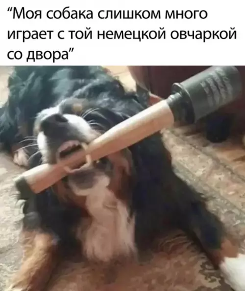 Смешная картинка №498605