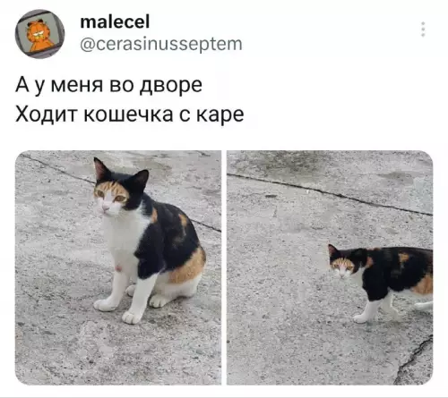 Смешная картинка №695580