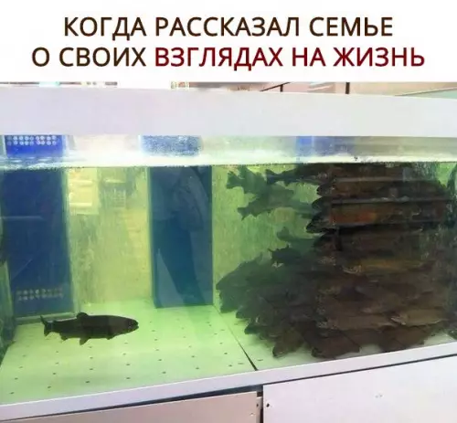 Смешная картинка №283343