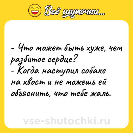 Шутка: - Что может быть хуже, чем разбитое сердце?<br>- Когда наступил собаке на хвост и не можешь ей объяснить, что тебе жаль.
