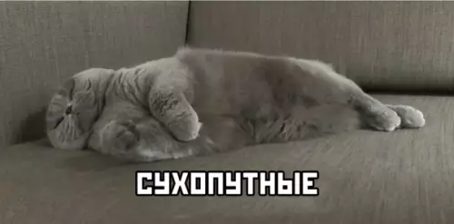 продолжение Смешная картинка №563983