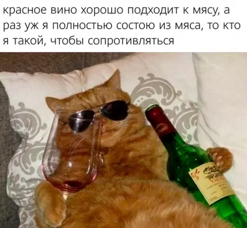 Смешная картинка №580765 Becoмo