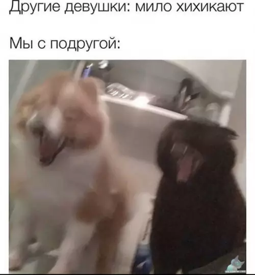 Смешная картинка №418746