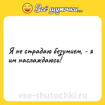 Шутка: Я не страдаю безумием, - я им наслаждаюсь!