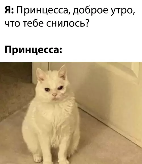 Смешная картинка №655259