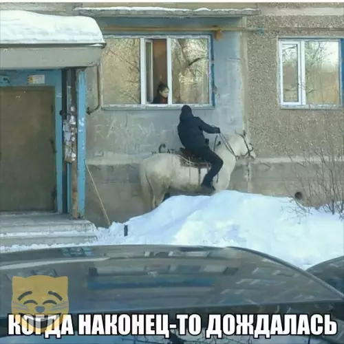 Смешная картинка №337610 #приколы #картинки #мемы ?
