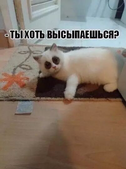 Смешная картинка №418196