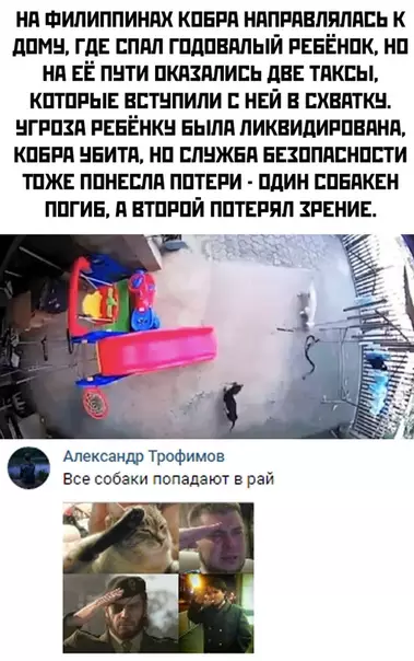 Смешная картинка №372337