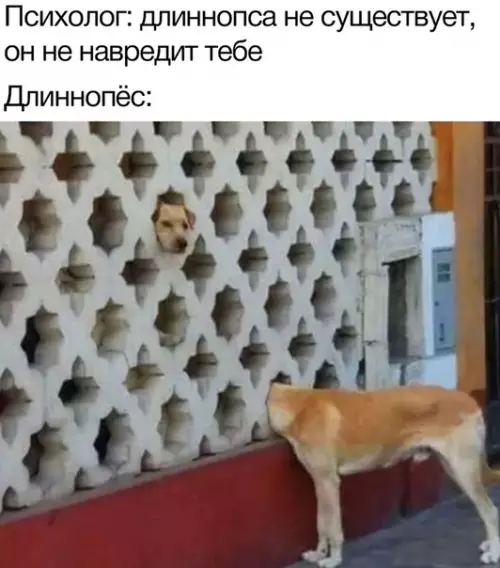 Смешная картинка №349118