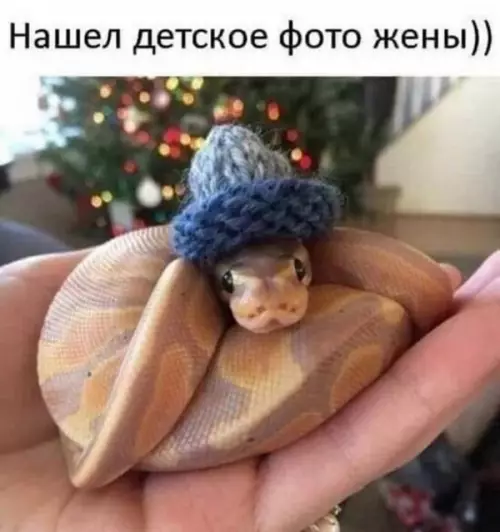 Смешная картинка №659610