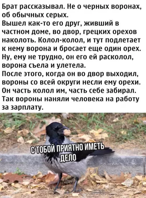 Смешная картинка №630750