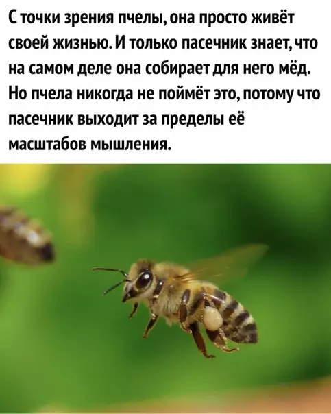 Смешная картинка №278693