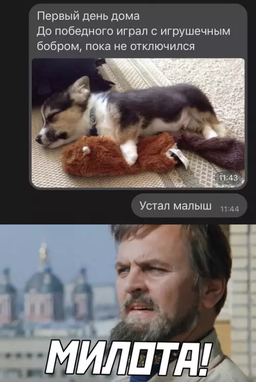 Смешная картинка №645208
