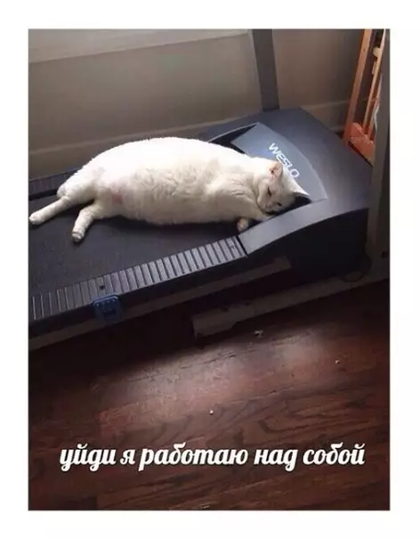 Смешная картинка №338852